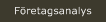 Företagsanalys
